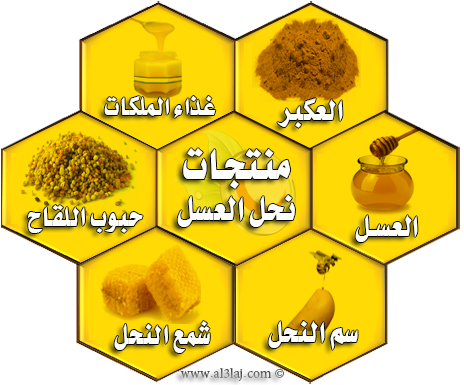 مقال: مواضيع متنوعة عن منتجات نحل العسل | منتجات النحل 