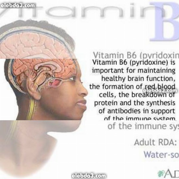 مقال: الفيتامين ب6 - البيريدوكسين | الفيتامينات 