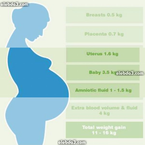 مقال: وزن الحامل | صحة الأم الحامل 