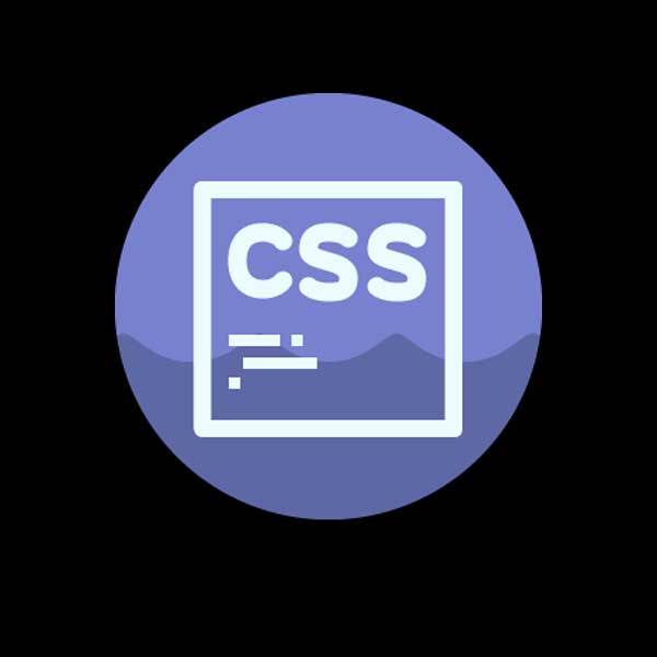  CSS CSS