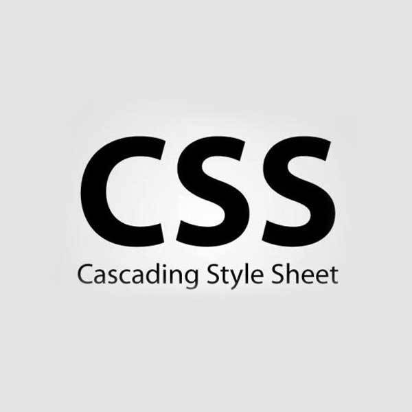 دورة CSS