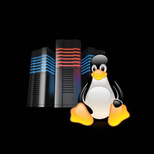  Linux Hosting – Aldarayn