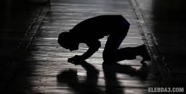 عرض المزيد من مهارات ايمانية 