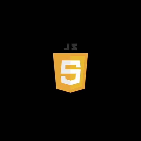  JavaScript JavaScript