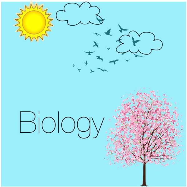  Biology - الأحياء لغات - الصف الأول الثانوي - الفصل الدراسي الأول  | الصف الاول الثانوى High-School 