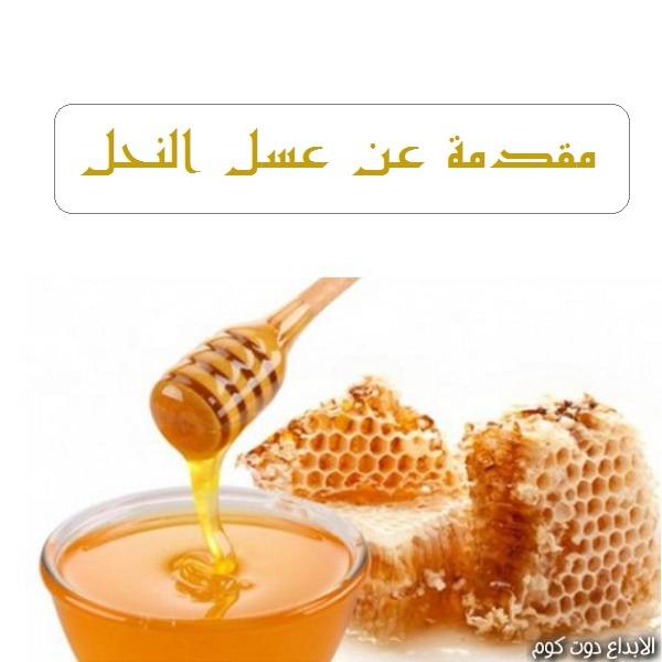 مقال: مقدمة عن عسل النحل | عسل النحل 
