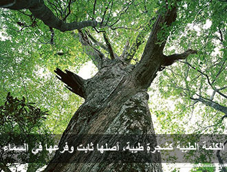 الكلمة الطيبة كشجرةٍ طيبة أصلها ثابتٌ وفرعها في السماء
