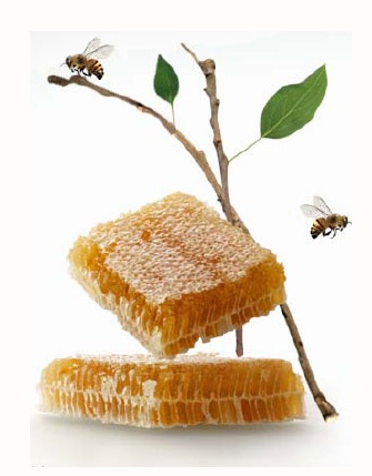 الخواص العلاجية للعسل
