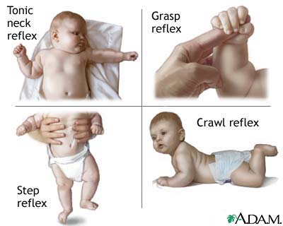 المنعكسات الآلية عند الطفل حديث الولادة