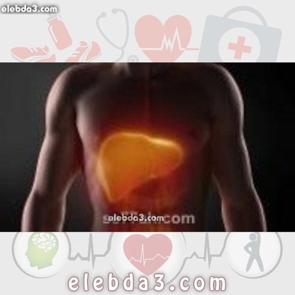 مقال: أين يقع الكبد في جسم الإنسان | الكبد و المرارة 
