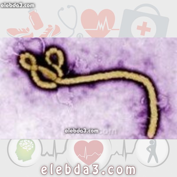 مقال: فيروس ايبولا | الامراض المعدية 