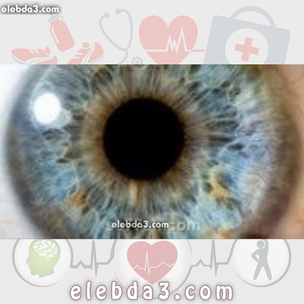 مقال: مكونات العين | امراض العيون 