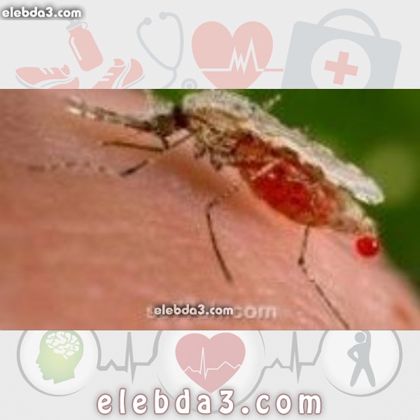 مقال: ما هي عوارض الملاريا | الامراض المعدية 